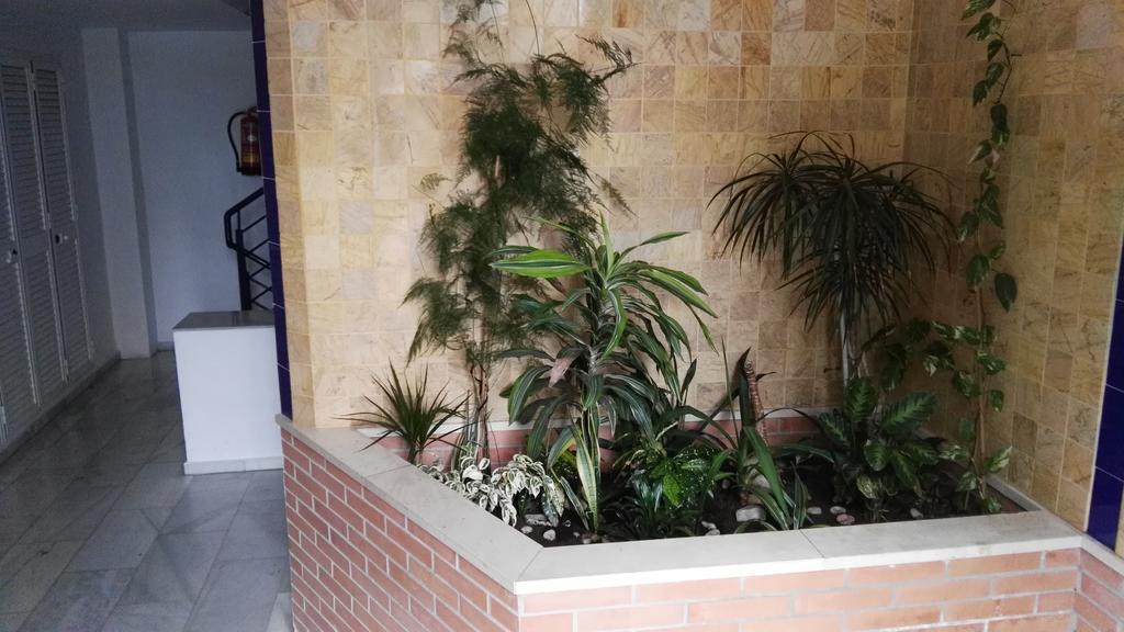 Fan Flat Eugenio (adults Only) Apartamento